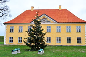 The Commander's House is decorated with Christmas tree