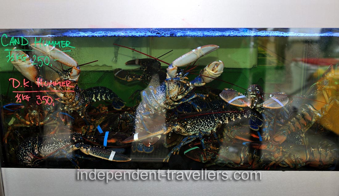 Live lobsters are for sale at Torvehallerne food market