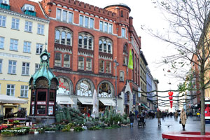 The Christmas trees are for sale on Kultorvet square