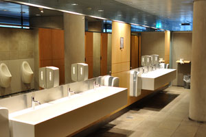 The sumptuous public restroom is located inside the Royal Library