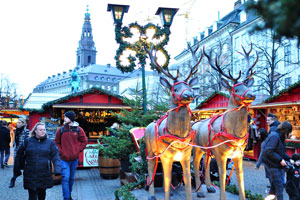 A festive harness of deers is on the background of Christiansborg Palace