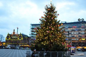 A tall Christmas tree is installed in the center of City Hall square