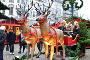 Two deers are in harness at the Christmas market on Højbro Plads square