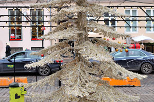 This Christmas tree was installed at the Christmas market on Højbro Plads square