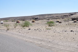 Afar huts in the desert