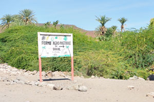 Road sign points to the agronomic farm in Dikhil