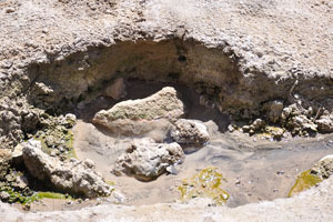 Hot spring comes out from the ground
