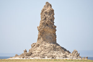 Some of the formations reach 165 feet (50 meters)