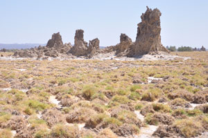 Lake Abbe is found in the central area of the Afar Depression