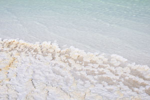 Salt crystals on the beach