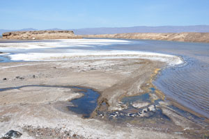 Lake Assal is located in a closed depression at the northern end of the Great Rift Valley