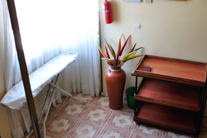 Fire extinguisher and the vase with flowers in the Yilma hotel