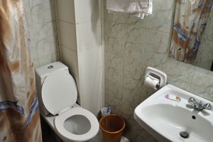 The washbasin and the flush toilet of the room No. 202 in the Yilma hotel