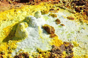 Excursion to the Dallol volcano is unforgettable, the active geysers and surreal salt formations are amazing