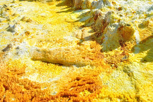 Dallol is a real hell on Earth with the presence of toxic lakes