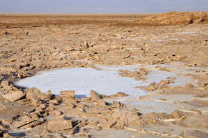 Dried puddle consists of crystallised salt