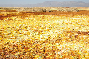 The salts of Danakil Depression are white or transparent