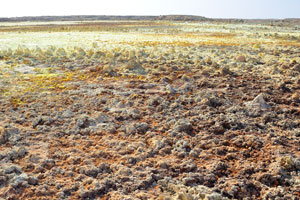 Many people from our group told me that in this 2015 year Dallol looks very discolored