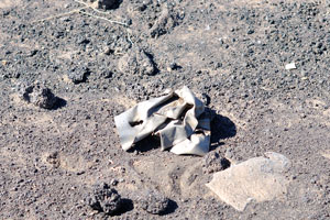 The remains of the exploded vehicle