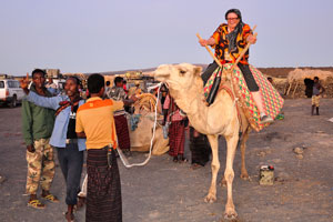 One woman successfully tries to sit on the camel