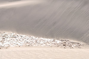 Cracked surface of the desert