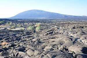 Solidified lava fields are very wide