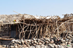 An ordinary Afar hut