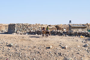 Girl walks with the boy and the donkey along the village