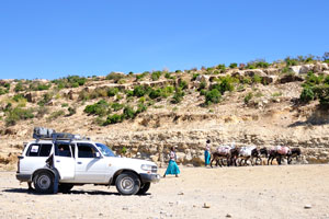 We used this jeep for the trip from the Mekelle city to the Hamed Ela village