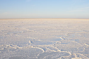 Wide expanses of an amazing white salt