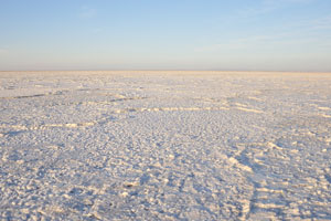 Impressive salt flats are located one hundred meters below sea level