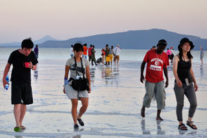 Japanese tourists return from the salt lake