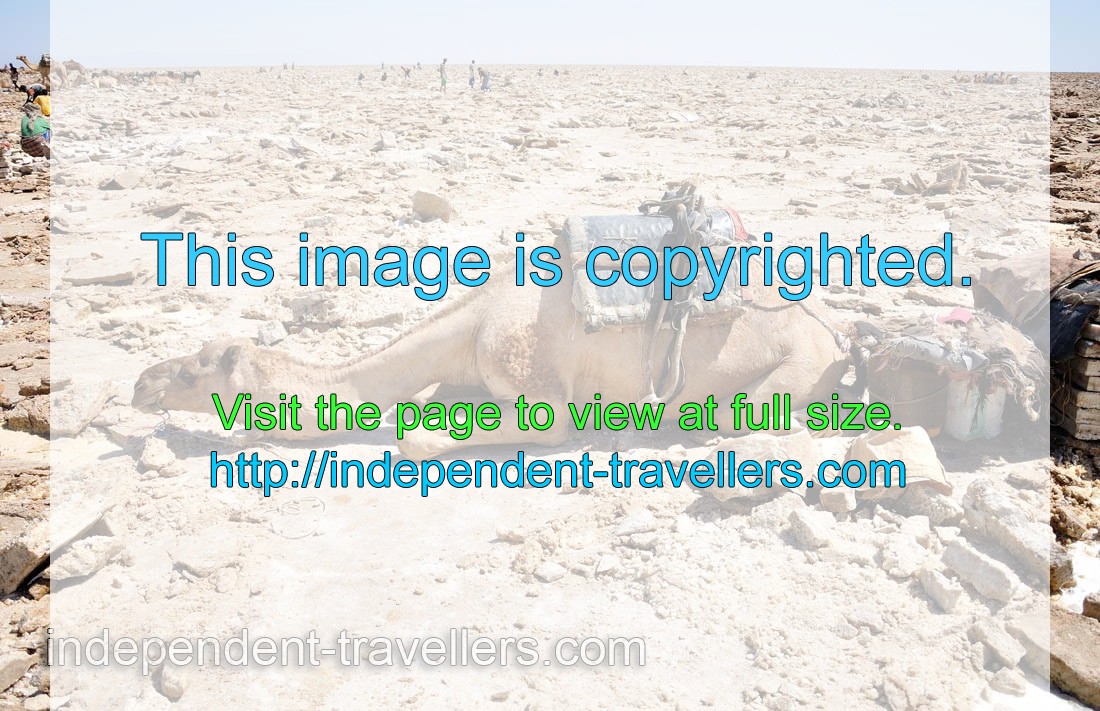 Danakil salt desert