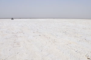Salt plain in the Danakil Depression
