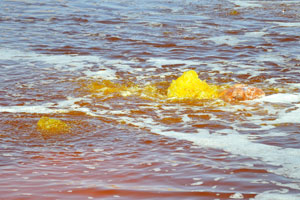 Fountains of Yellow lake show the yellow color of the water