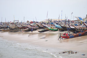 The shore is full of fishing boats