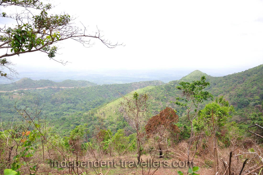 Popular choices include a 45-minute walk to Amedzofe Falls and a 30-minute walk to the summit of Gemi mountain