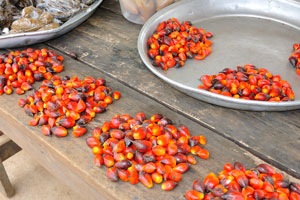 Red palm fruits are on the local market
