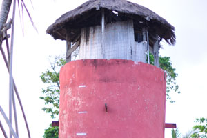 Watchtower has a thatched roof