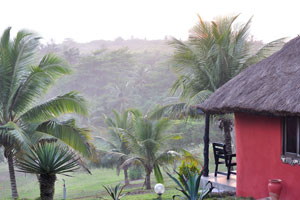 The Axim Beach Hotel is situated on a huge palm covered tropical hill