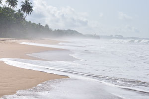 Axim Beach is a pristine and virtually uninhabited expanse of palm-fringed beach stretching eastwards