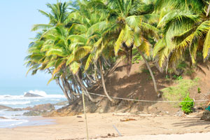 Beach volleyball is available on the Axim Beach 