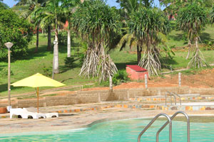 Royal palm trees and plants of pandanus decorate the surroundings of swimming pool in the Axim Beach hotel