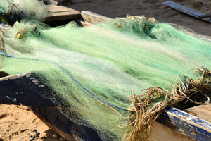 Fishing nets of green color
