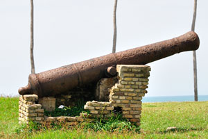 An ancient cannon of Elmina Castle is amidst the grass