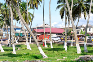 Small seaside park in the Elmina town is full of palm trees