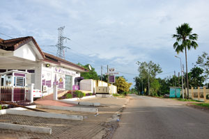 The avenue of Georgia K Kusi