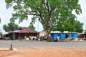 Damongo is a small town and is the capital of West Gonja district