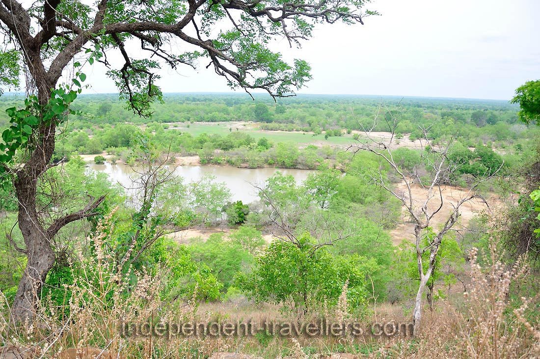 Sightings of hyenas, lions and leopards are unusual, but these carnivores were once more common in the park