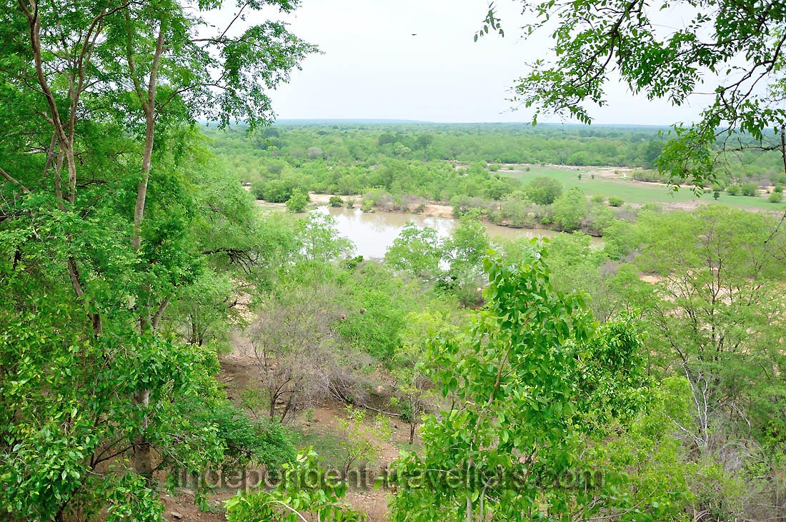 The river is flowing through the park